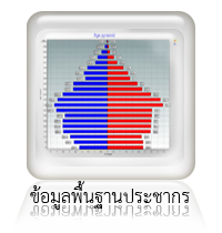 report population data icon